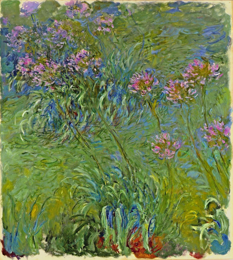 Cloude Monet Oil Paintings Agapanthus Flowers 1917