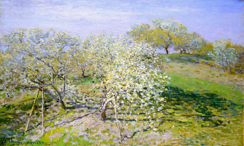 Cloude Monet COil Paintings Apple Trees in Bloom 1873