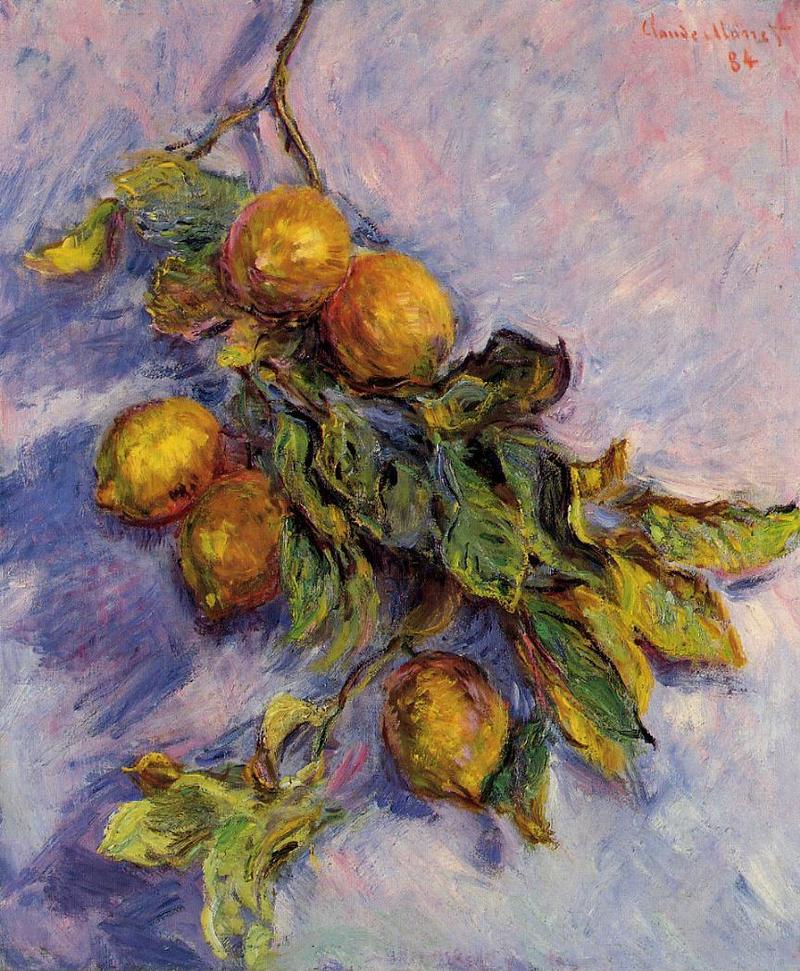 Cloude Monet Oil Paintings Branch of Lemons 1884