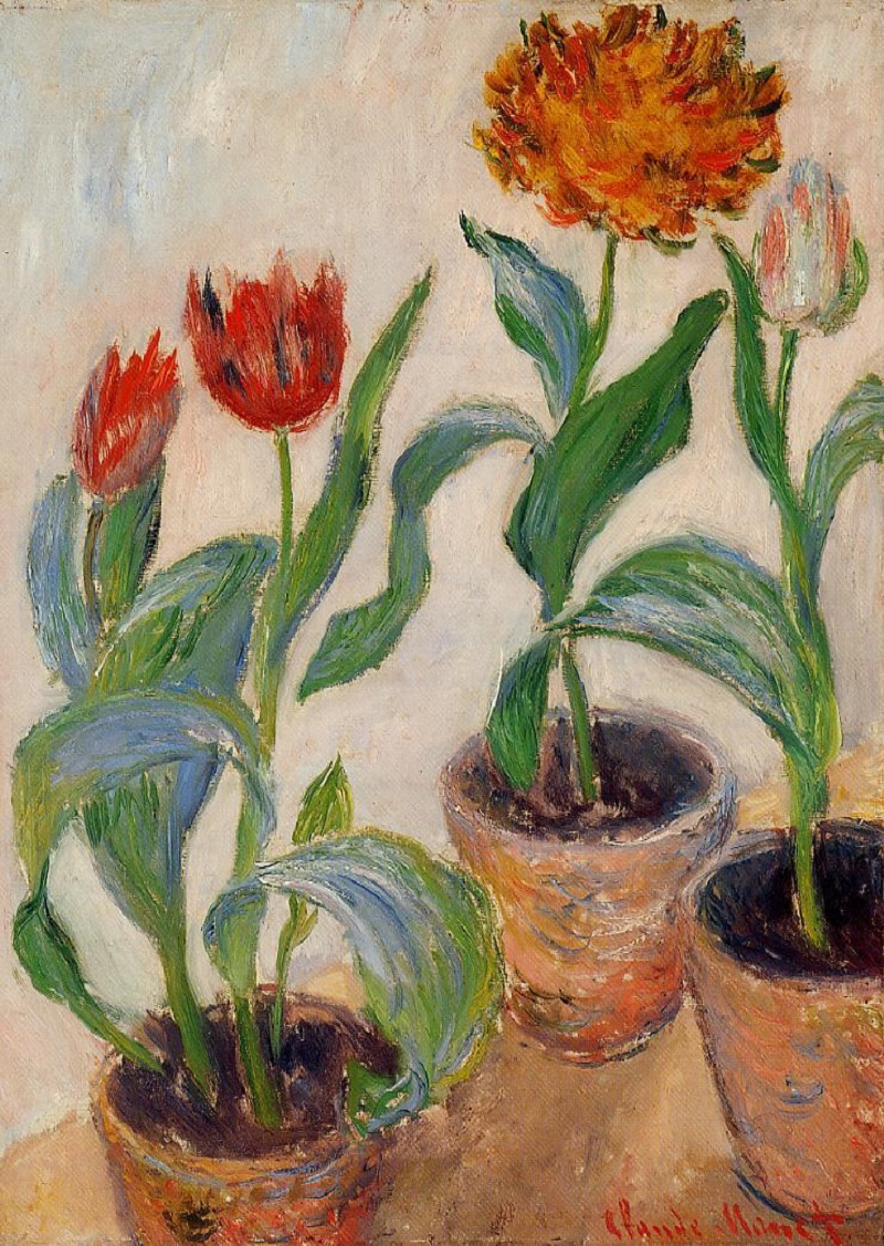 Cloude Monet Oil Paintings Three Pots of Tulips 1883