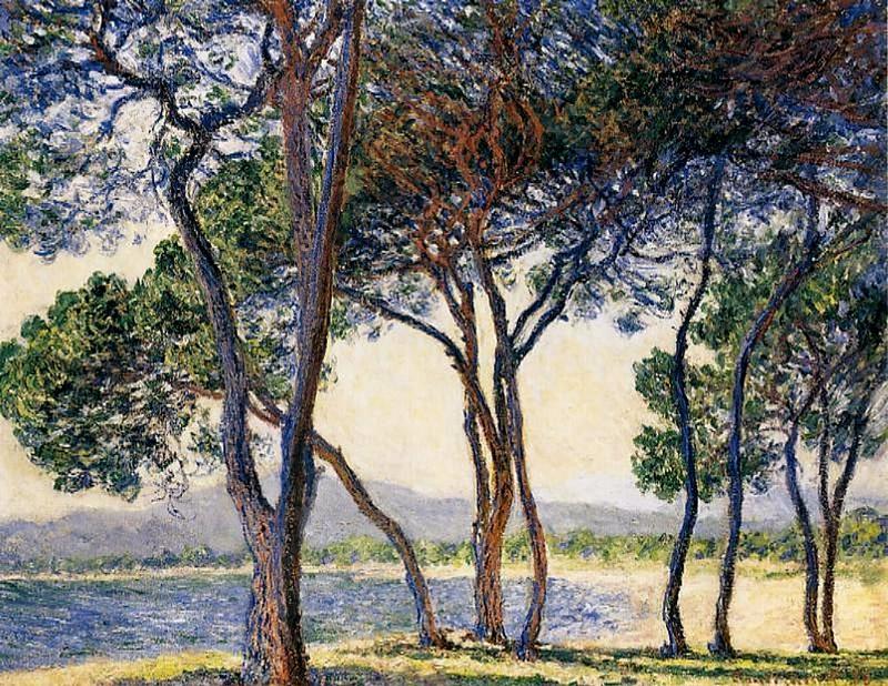 Cloude Monet Oil Paintings Trees by the Seashore at Antibes 1888