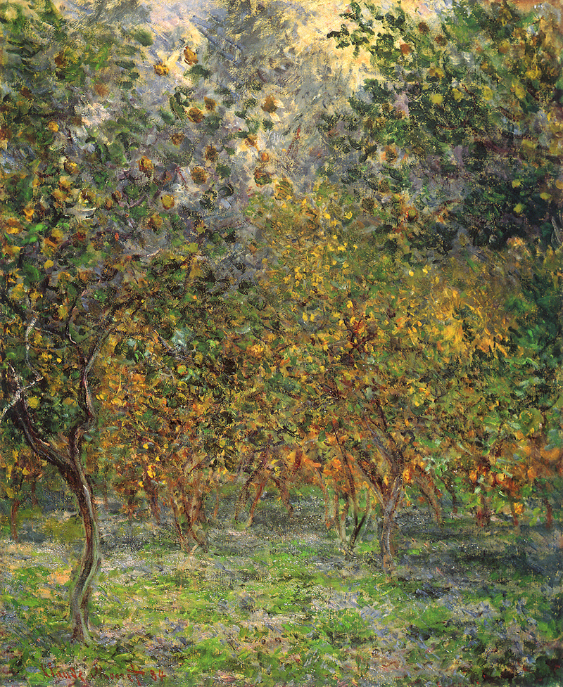Cloude Monet Paintings Under the Lemon Trees 1884