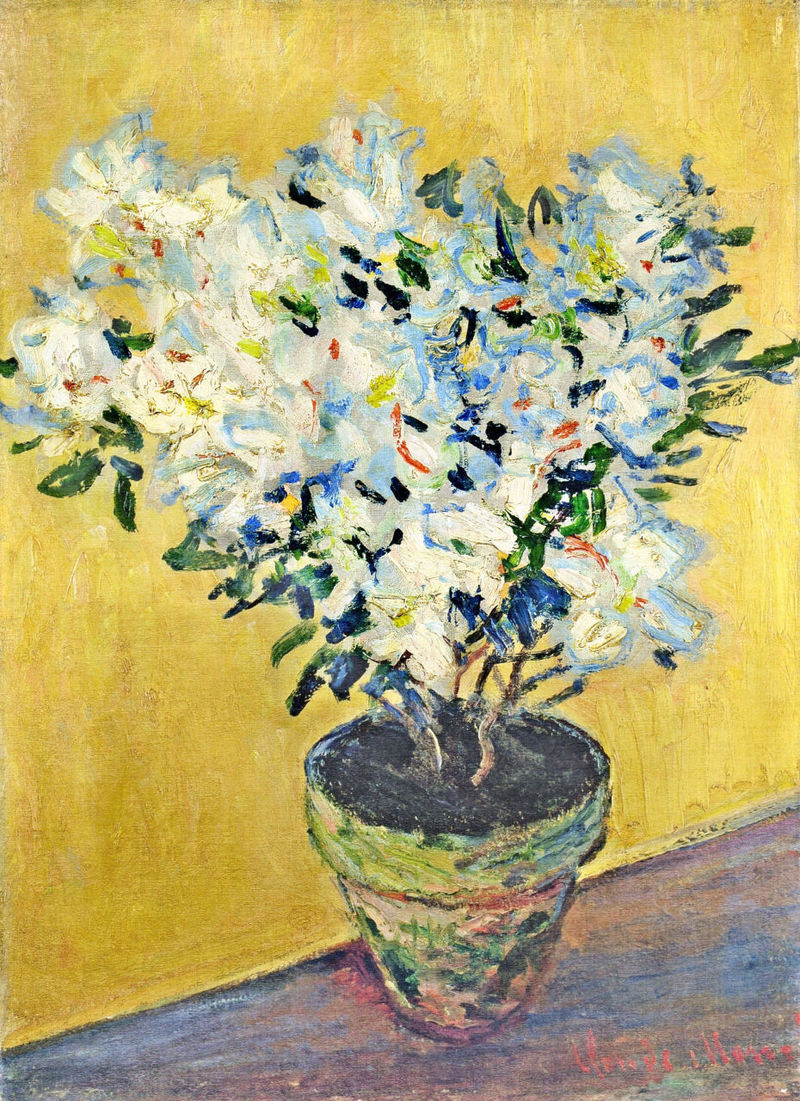 Cloude Monet Oil Paintings White Azaleas in a Pot 1885