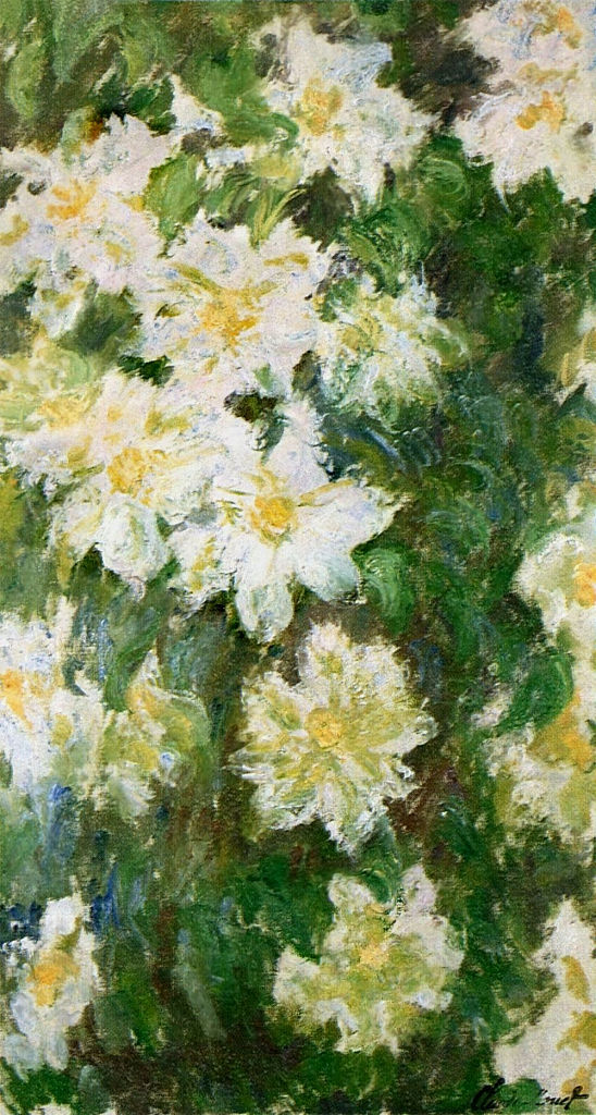 Cloude Monet Oil Paintings White Clematis 1887