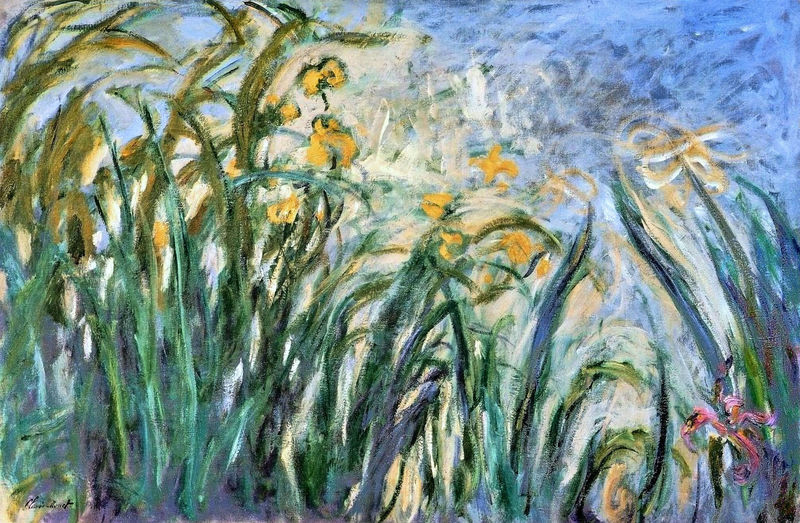 Cloude Monet Oil Paintings Yellow Irises and Malva 1917