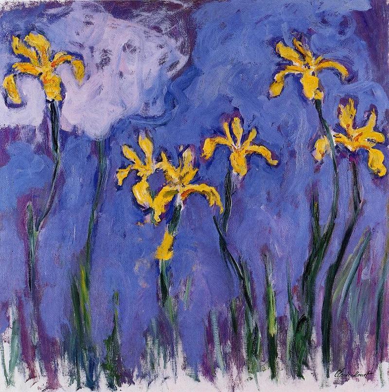 Cloude Monet Oil Paintings Yellow Irises with Pink Cloud 1917