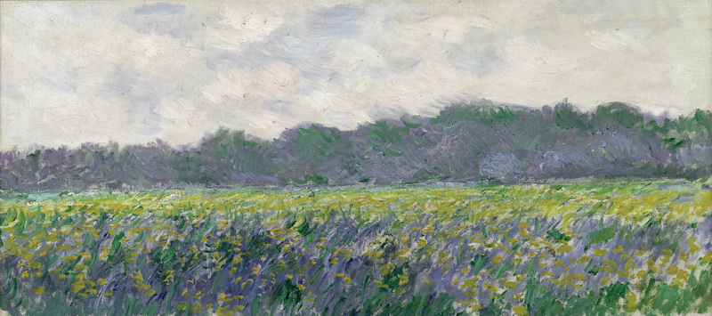 Cloude Monet Oil Painting Field of Yellow Irises at Giverny 1887