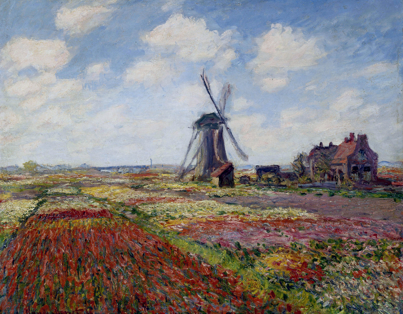 Fields of Tulip With The Rijnsburg Windmill 1886