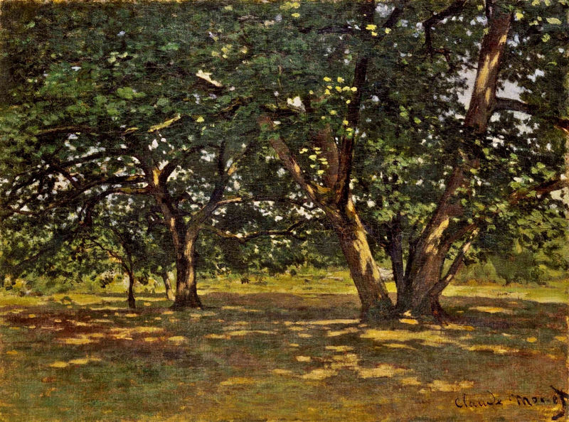 Cloude Monet Oil Paintings Fontainebleau Forest 1865
