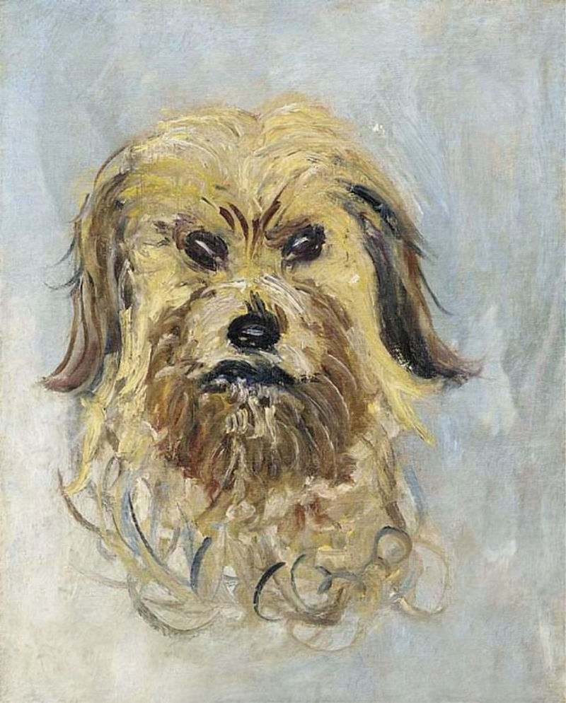 Cloude Monet Oil Paintings Head of the Dog 1882