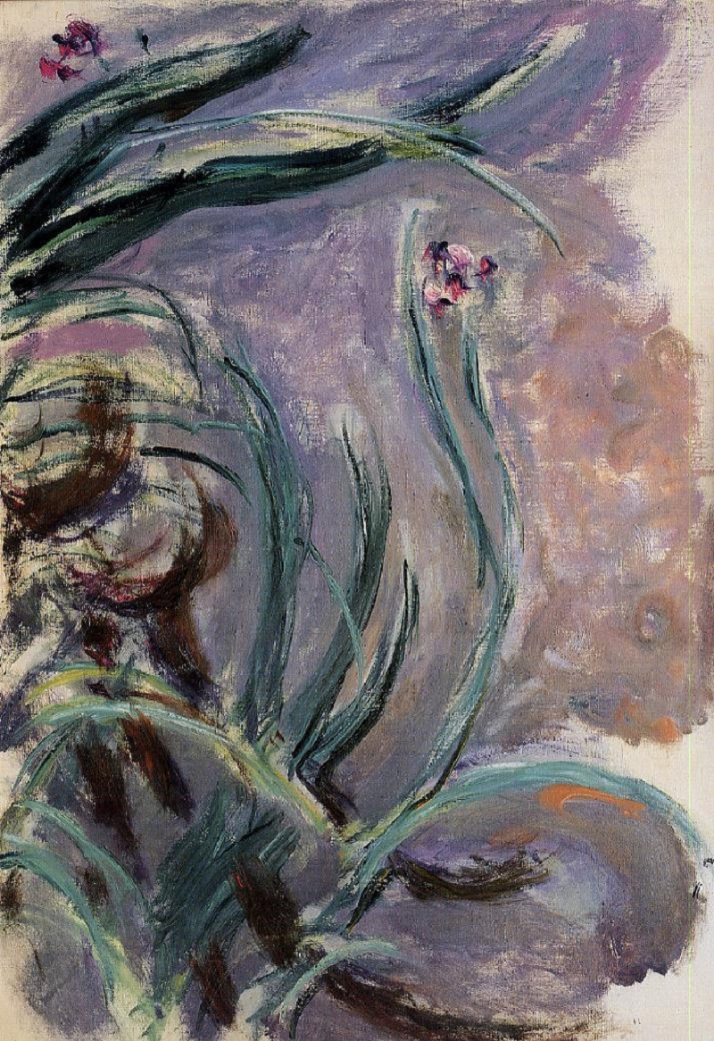 Cloude Monet Paintings Irises 3 1917
