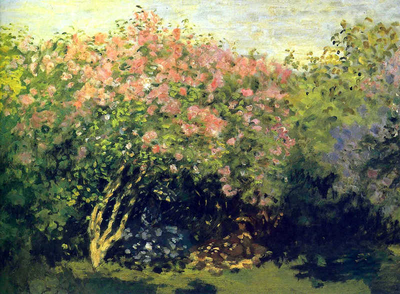 Cloude Monet Paintings Lilacs in the Sun 1872