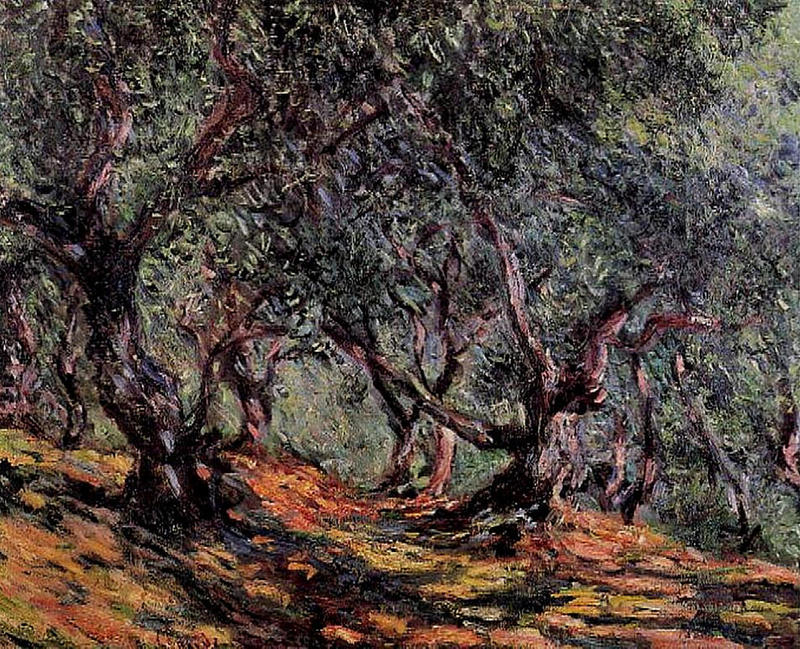 Cloude Monet Oil Painting Olive Trees in Bordigher 1884
