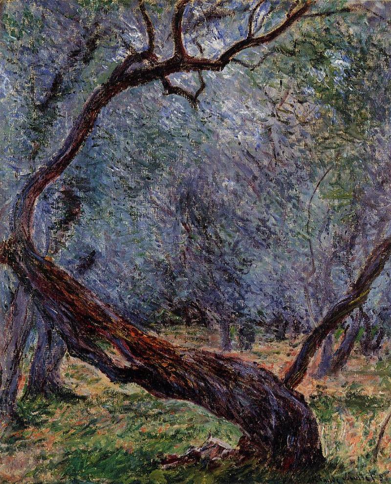 Cloude Monet Oil Painting Olive Trees.Study. 1884