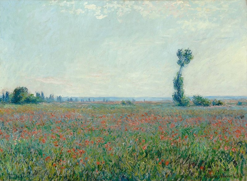 Cloude Monet Paintings Poppy Field 1881