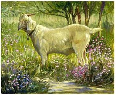 Dafen Oil Painting on canvas -animal021