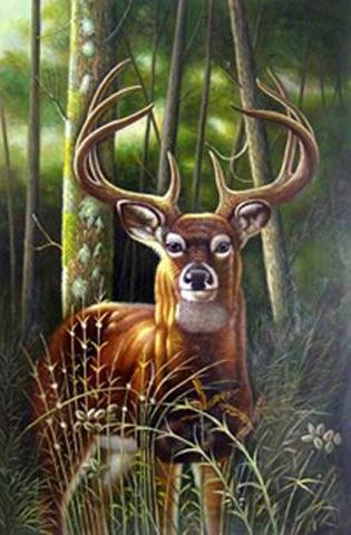 Dafen Oil Painting on canvas -animal025