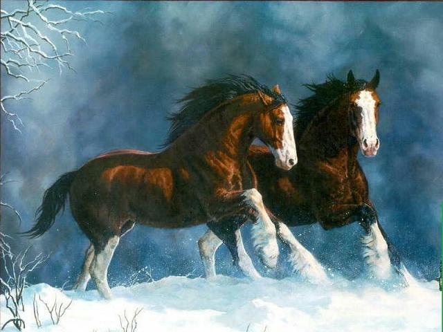 Dafen Oil Painting on canvas -horse012