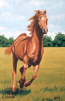Dafen Oil Painting on canvas -horse023