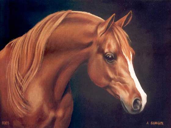Dafen Oil Painting on canvas -horse025