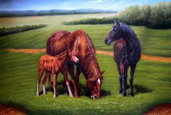Dafen Oil Painting on canvas -horse034