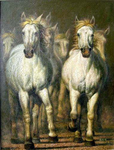 Dafen Oil Painting on canvas -horse036