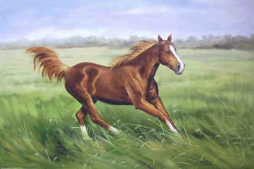 Dafen Oil Painting on canvas -horse037