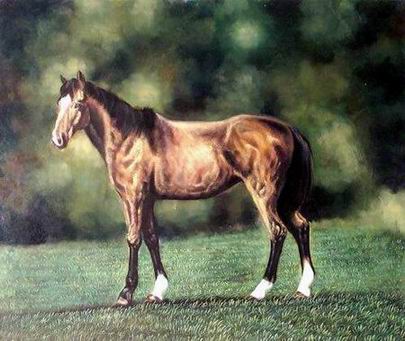 Dafen Oil Painting on canvas -horse038