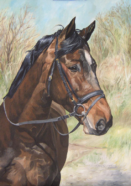 Dafen Oil Painting on canvas -horse080